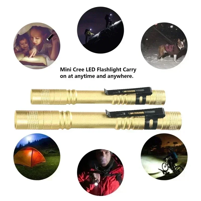 ไฟฉาย LED แบบพกพาขนาดเล็กพร้อม - Outdoor Lighting Setup บทวิจารณ์และราคา