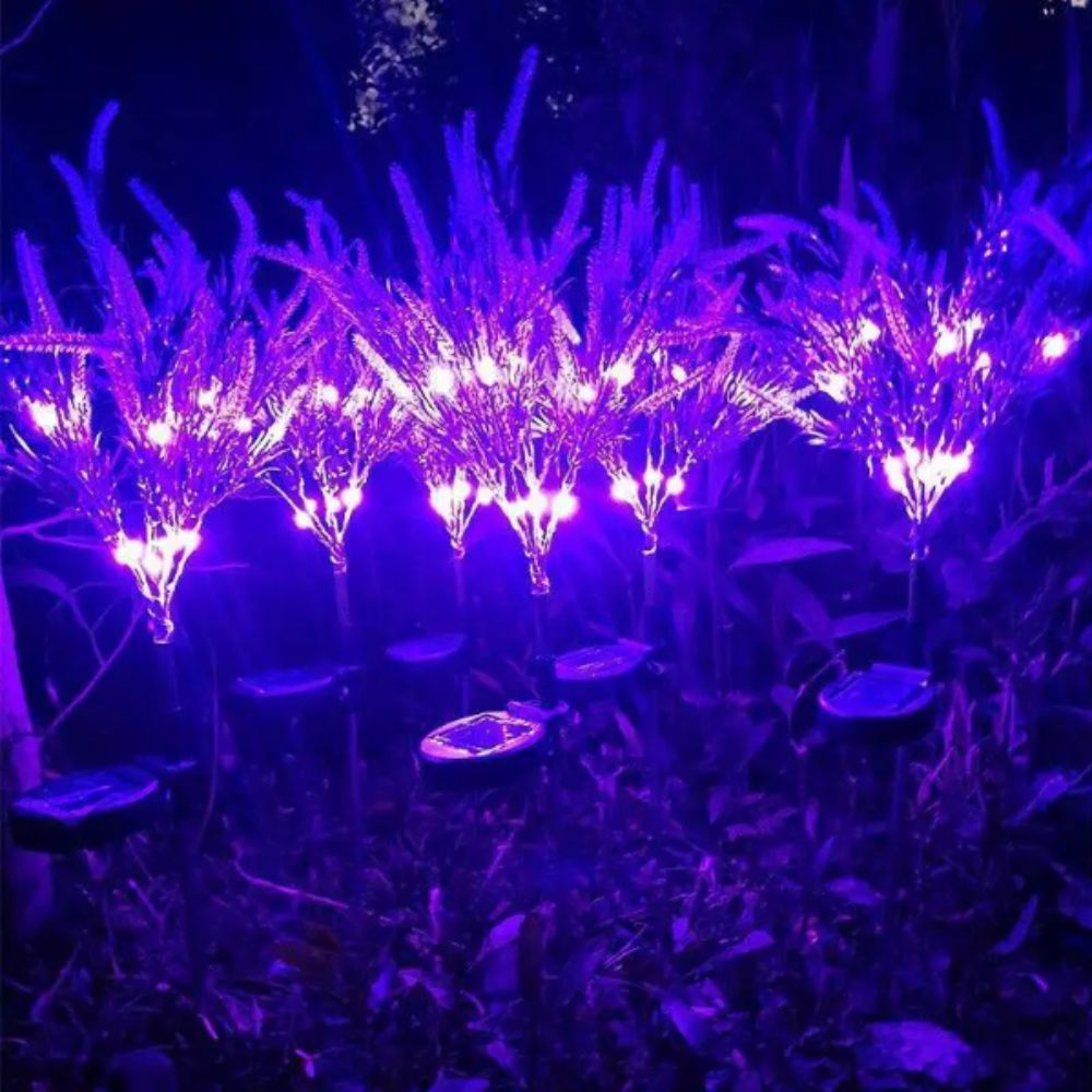 ไฟ LED สีม่วง พลังงานแสงอาทิตย - Outdoor Lighting Unit บทวิจารณ์และราคา